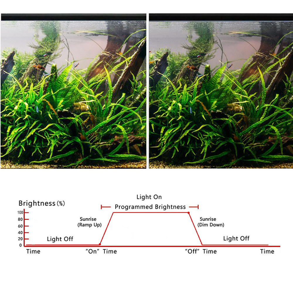 Marine Aquarium Timing - Fish Tank Timer Marine Aquarium LED