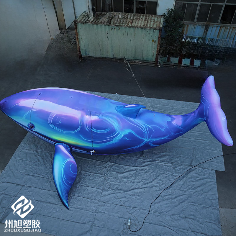 Inflatable blue whale, used as – Marine Aquarium Used recenzja i cena