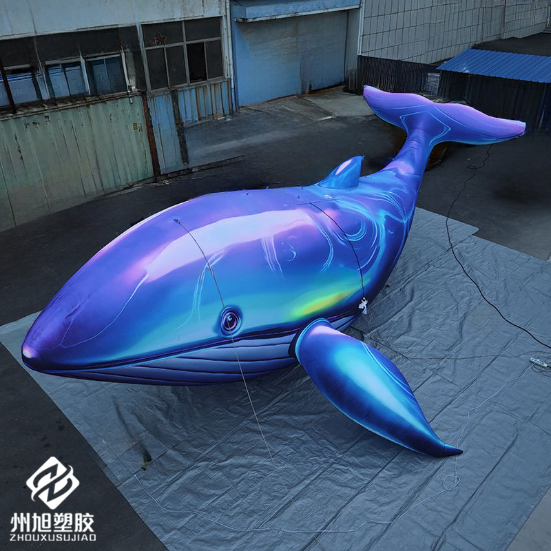 Inflatable blue whale, used as – Marine Aquarium Used recenzja i cena