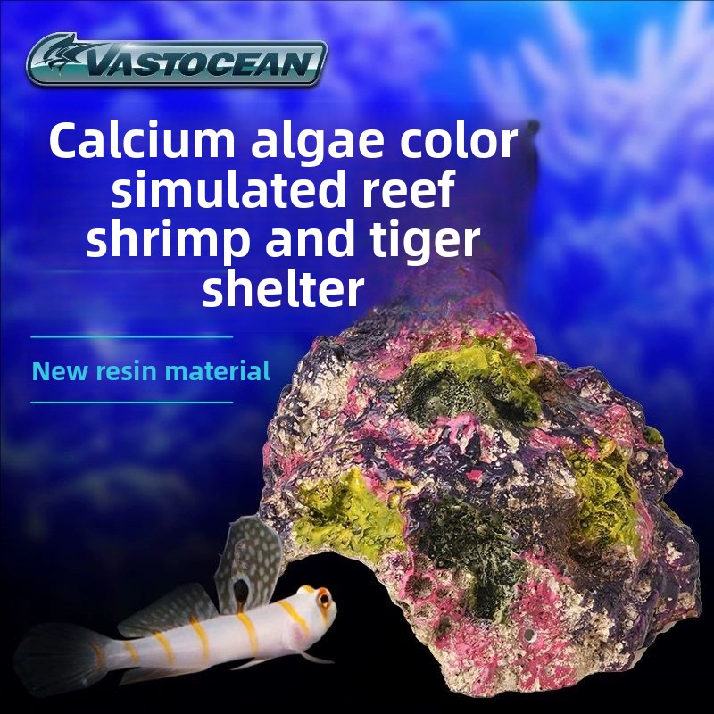 VASTOCEAN Saltwater Aquarium C – Marine Aquarium Hermit Crab recenzja i cena