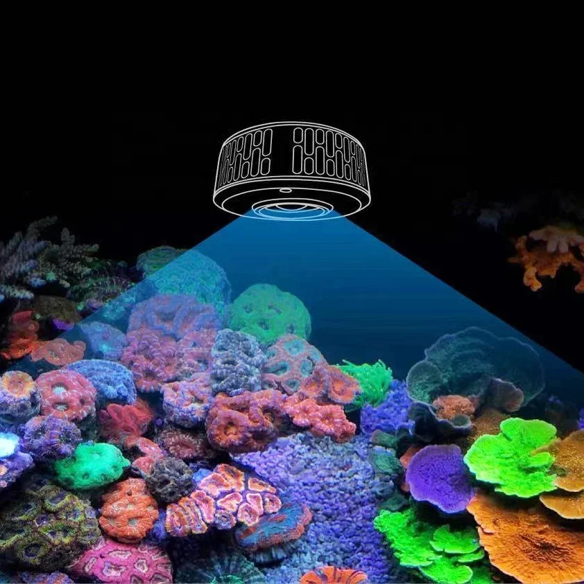 A7 II 100W WiFi App Phone Cont – Marine Aquarium Lights For Sale recenzja i cena
